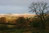 View from sitting room at dusk in winter